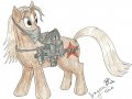CrazyhorseMLP0001.jpg